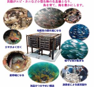 JF シェルナース